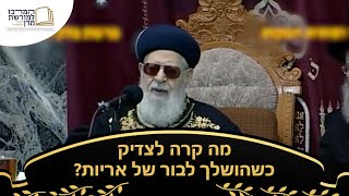מה קרה לצדיק כשהושלך לבור של אריות? 🦁 - מרן רבינו עובדיה יוסף זצ''ל (מורשת מרן) - התמונה מוצגת ישירות מתוך אתר האינטרנט יוטיוב. זכויות היוצרים בתמונה שייכות ליוצרה. קישור קרדיט למקור התוכן נמצא בתוך דף הסרטון