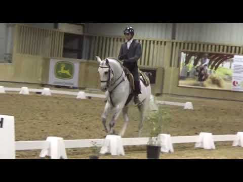 Marco Boavista on HVT do Penedo Dressage test Working Equitation competition Paris 2018