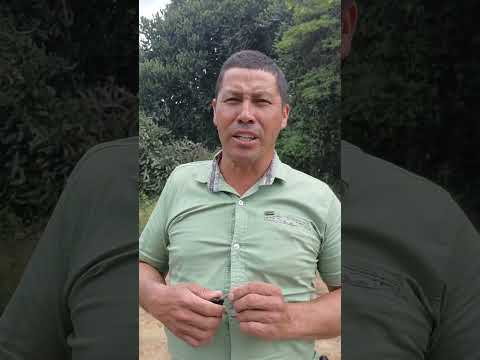 Hago esta disculpa publica a la gente de dolores tolima No fue mi intencion ofenderlos me puse a