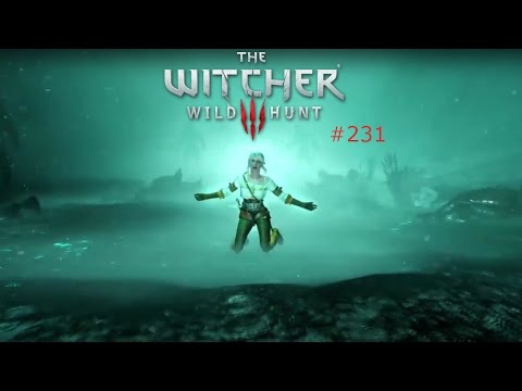 Lets Play The Witcher 3 Wild Hunt Part 231 [HD/DE] Macht der Trauer