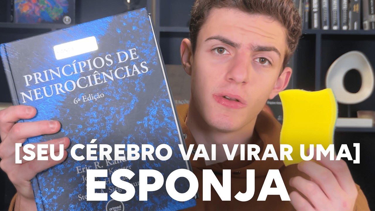 Como lembrar de TUDO que você leu (baseado na ciência)