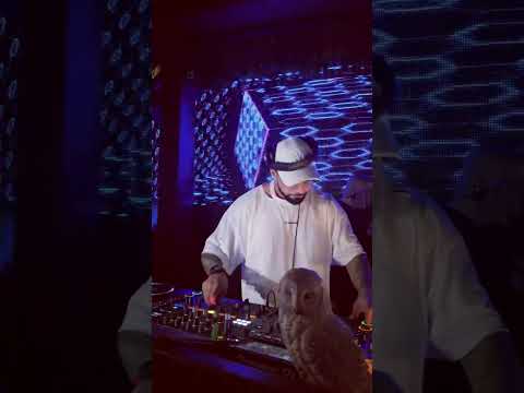 دمارة اصيل Dj ASEEL