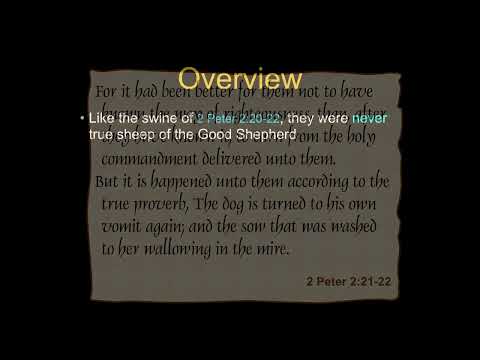 Jude Session 6 Verses 11 13   Chuck Missler