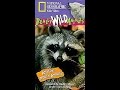 Opening To Really Wild Animals Amazing North America 1997 VHS