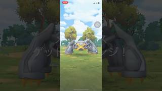 ポケモンGOレイドバトルメタグロスゲットできたかな？ #ポケgo #pokemongo #ポケモンgo #pokemon #ポケゴー #ポケモン #shorts#short #メタグロス