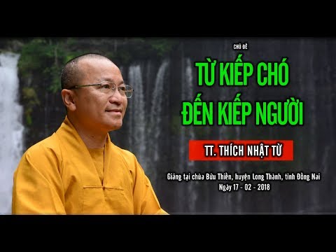 Từ Kiếp Chó Đến Kiếp Người - TT. Thích Nhật Từ