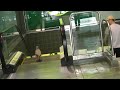 Confused Bird on an Escalator (jedovata zmija) - Známka: 1, váha: velká