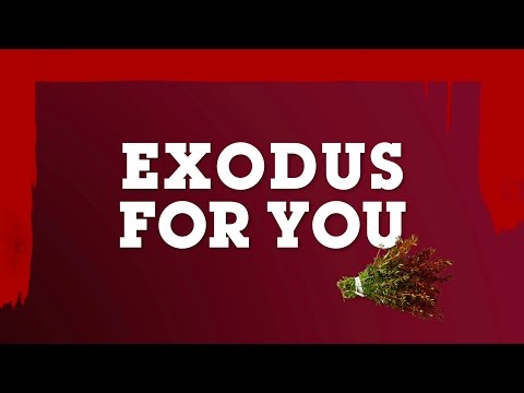Exodus For You by Tim Chester