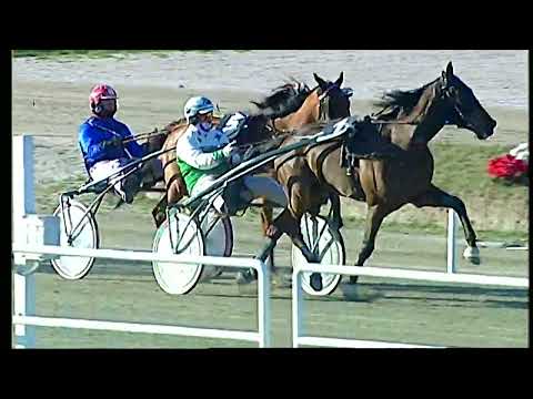 Napoli Trotto 11/02/2022 - 4ª corsa