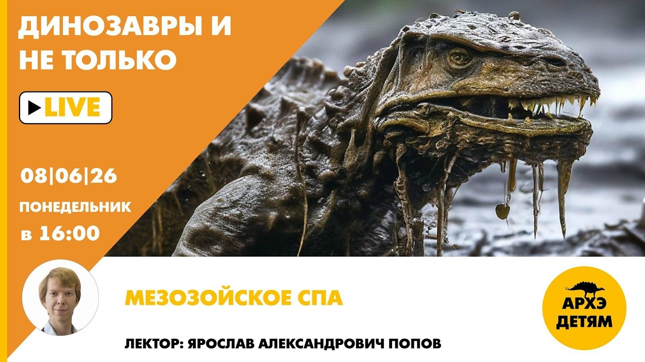 Занятие «Мезозойское СПА» рубрики "Динозавры и не только" с Ярославом Поповы