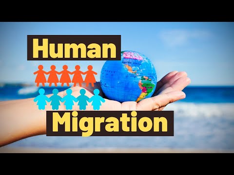 Explain the concept of migration to kids | Migration lesson for kids | What is migration