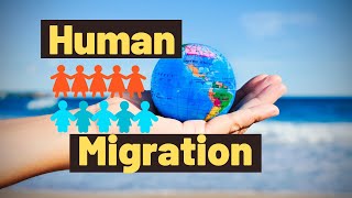 Explain the concept of migration to kids | Migration lesson for kids | What is migration ?