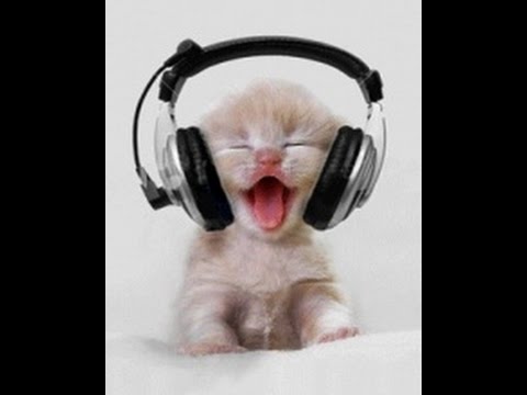 Ogneni momcinja - Baro Bijav live