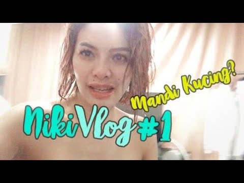 download lagu mp3 mp4 Mandi Kucing, download lagu Mandi Kucing gratis, unduh video klip Mandi Kucing