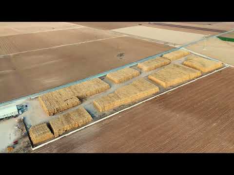 Video 5