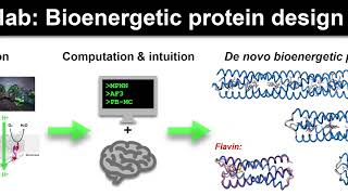 Anderson lab: Bioenergetic protein design - Ross Anderson