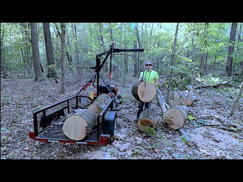 Firewood Jib Crane #Shorts