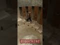 Construction Building Pool Youtube Youtubeshorts Viral Viralvideo Whatsappstatus Whatsap