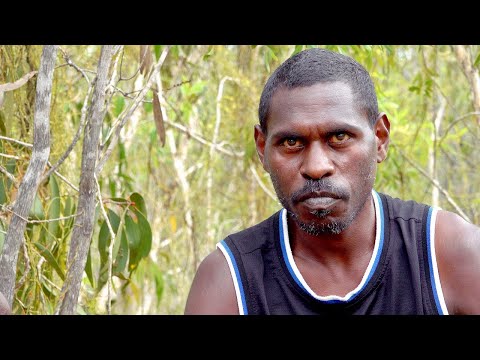 Anngalbiya (Toothless Catfish) Songline -  Wuju Nundhirribala, Jambalmurru & Alawayu Nunggarrgalu