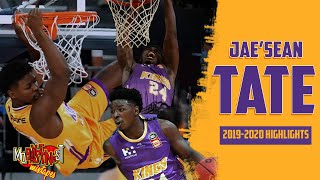 [外絮] 火箭隊菜鳥 - Jae'Sean Tate