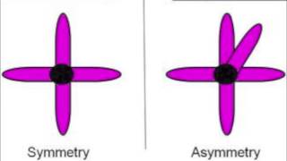 Symmetry