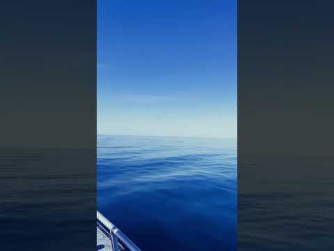 Cruisin #finland #sea #boat #horizon #summer