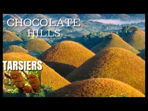 CHOCOLATE HILLS AND TARSIERS | ANALYN IN FLORIDA