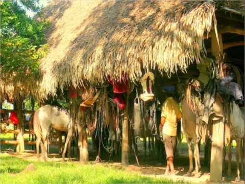 FG  Típico Caney - Antonio Castillo