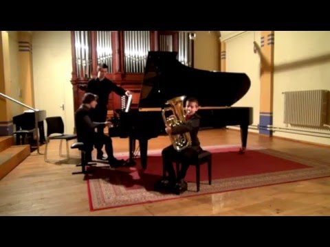 Capuzzi - Concerto for Bass and Orchestra (1st movement)