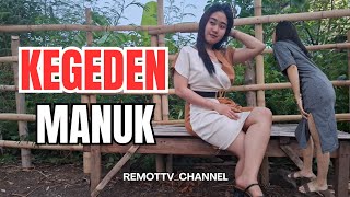 Download lagu KEGEDEN MANUK Episode 23 || REMOTTV CHANNEL || KOMEDI JAWA mp3