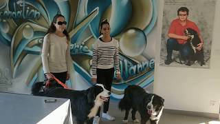 Jane Constance &amp; Lola &quot;A travers tes yeux&quot;