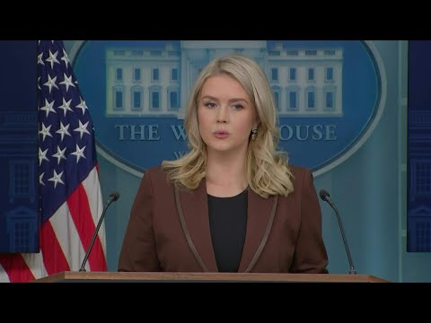 Video Thumbnail: Trump did 'nothing wrong' in Epstein scandal: White House | AFP
