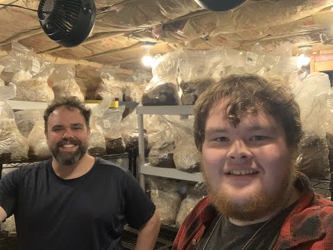How This Small Mushroom Farm Yields 270 Lbs + A Week!
