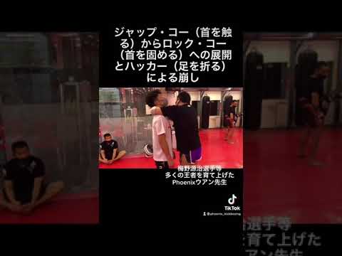 名トレーナー、ウアン先生による首を捕まえてから崩しまで
