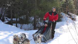 preview picture of video 'HuskyPoint husky safaris and excursions Rovaniemi in Lapland Finland'