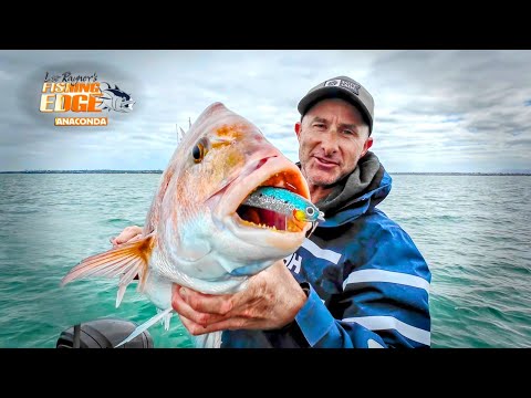 NEW Technique Is Deadly On Snapper - Drag n Roll Soft Plastics For Big Fish