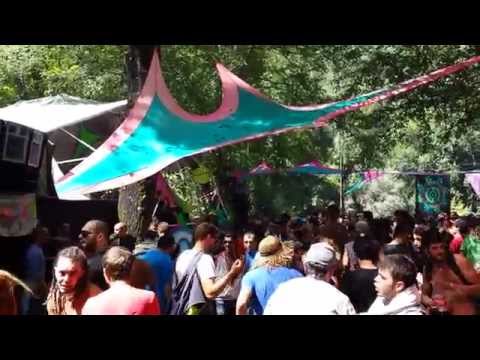 Bizarre Contact Live @ Insomnia Festival 2014