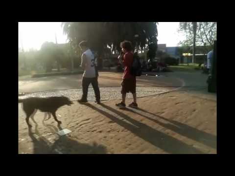 Chury VS Hami / Riñas De MC's / Octavos