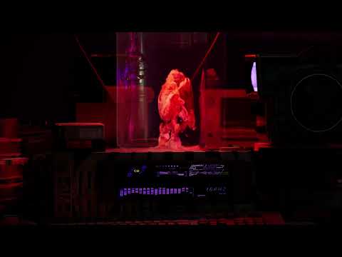 The Colorated - Corre LYRIC VIDEO