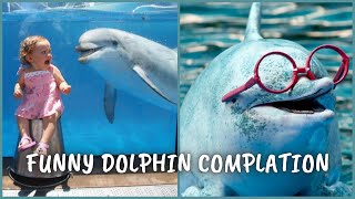L'animal marin le plus intelligent : les dauphins | compilation de vidéos de dauphins drôles et mignons
