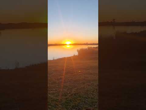 mocoreta corrientes