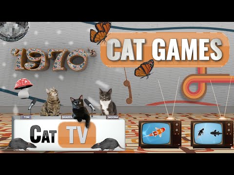 CAT Games | Groovy 70s Extravaganza | Cat TV 4K | Videos For Cats to Watch | 1 Hour 😼 📺
