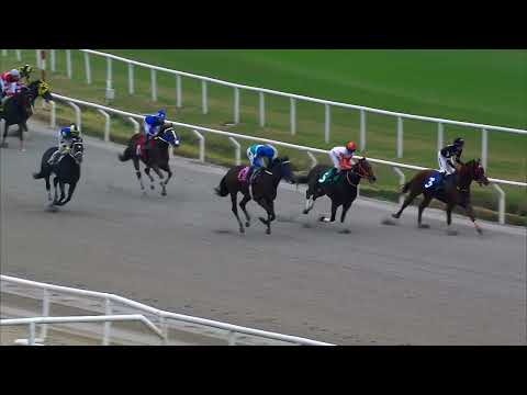 230624 c02 - CHARLES KING - HIPODROMO DE MAROÑAS