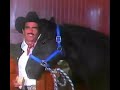 Vicente Fernández - el desinfle ( video musical)