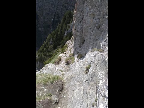 BRANA AERIANA DIN BUCEGI