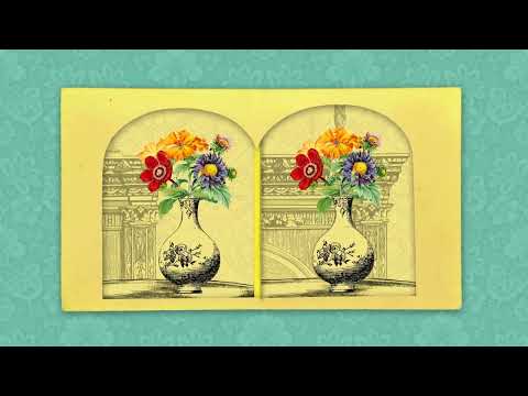 Victorian Virtual Reality: How does stereoscopy work?