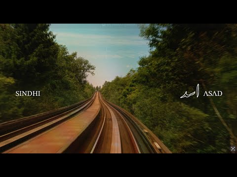 Sindhi (Hathen Gul Mehndi) - Asad