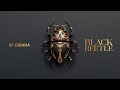 Black Beetle - Kp Lubana (Official Video) Latest Punjabi Song 2024