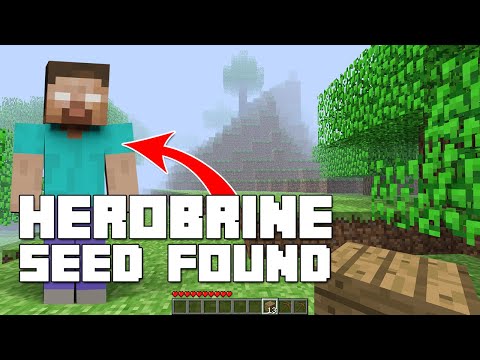 The original Herobrine seed has finally been found!