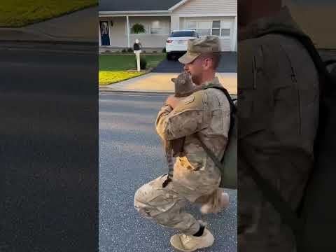 The cat remembered the soldier who saved its life even after five months.